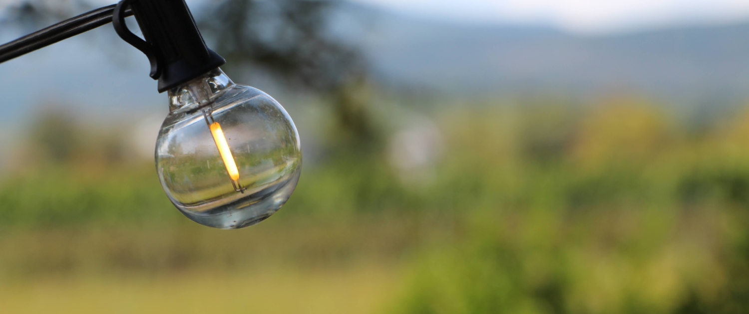 header Herbst RENZCOM 2026